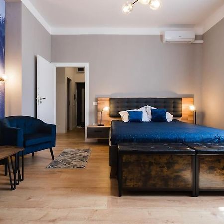 Joy City Stay Piatra Craiului 8 تيميشورا المظهر الخارجي الصورة