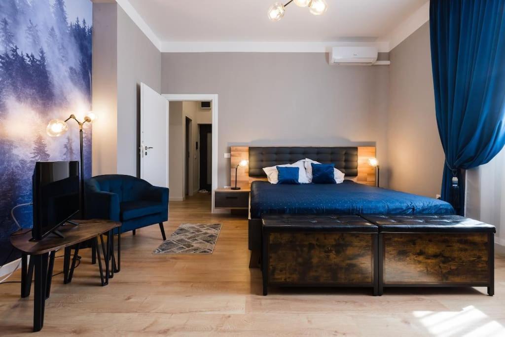 Joy City Stay Piatra Craiului 8 تيميشورا المظهر الخارجي الصورة