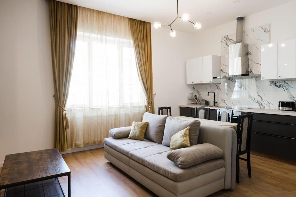 Joy City Stay Piatra Craiului 8 تيميشورا المظهر الخارجي الصورة